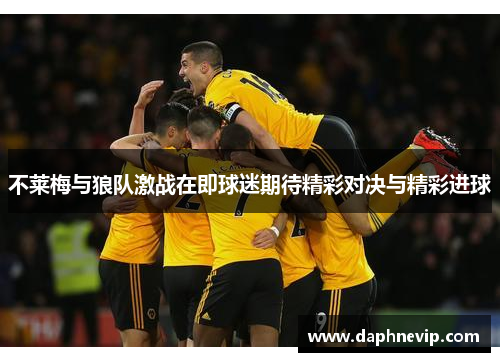 不莱梅与狼队激战在即球迷期待精彩对决与精彩进球