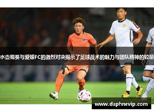 水壶蜀葵与爱媛FC的激烈对决揭示了足球战术的魅力与团队精神的较量